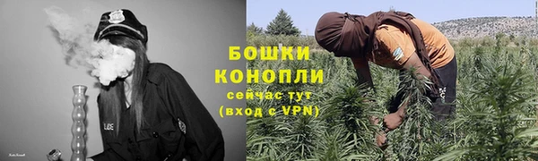 гашик Михайлов