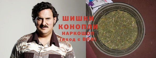 гашик Михайлов