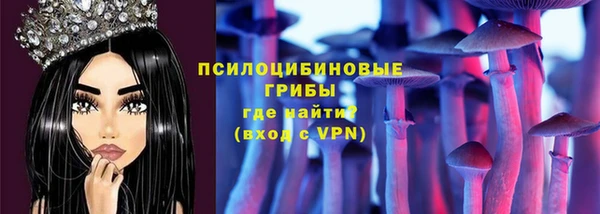 гашик Михайлов