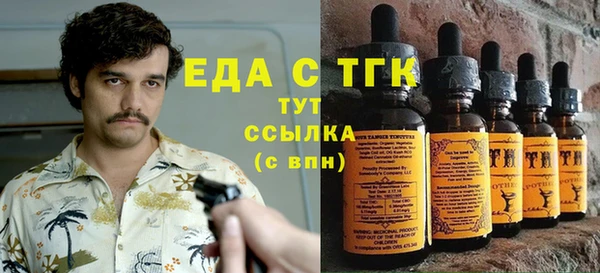 гашик Михайлов