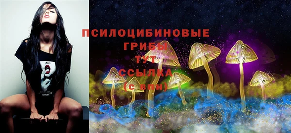 гашик Михайловка