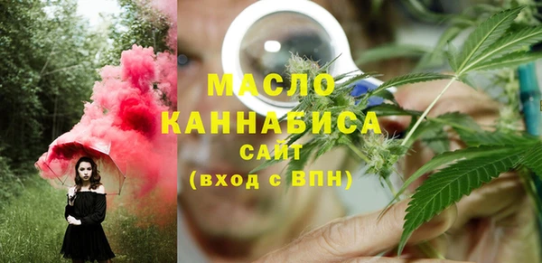 гашик Михайлов