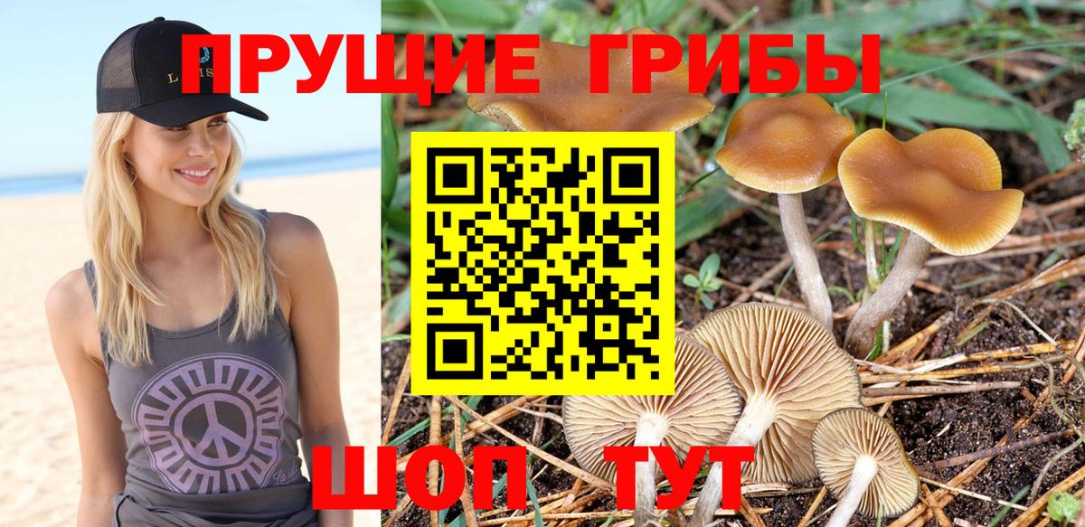 Галлюциногенные грибы мицелий Саки