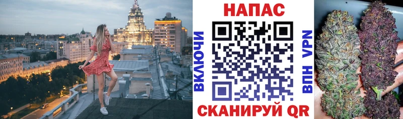 дарнет шоп  гидра ссылка  МАРИХУАНА VHQ  Саки 
